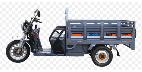 Mondial Tigray Max