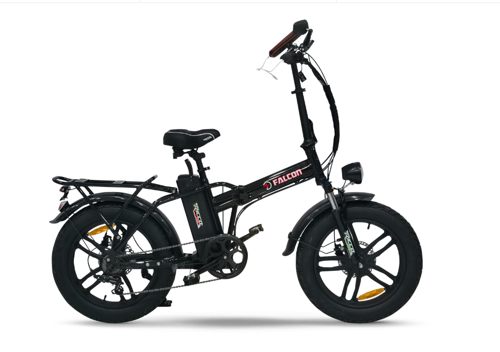 Falcon Ricco