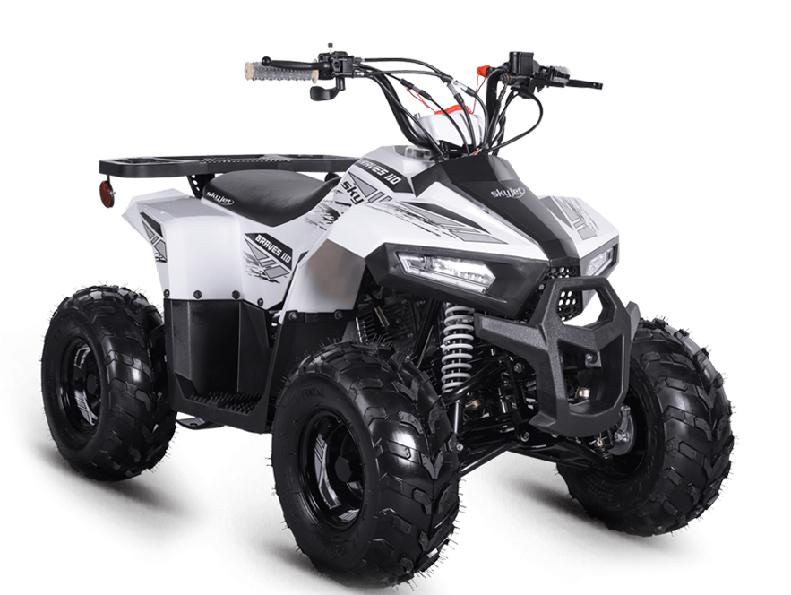 Skyjet Braves 110